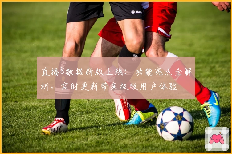 直播8数据新版上线：功能亮点全解析，实时更新带来极致用户体验