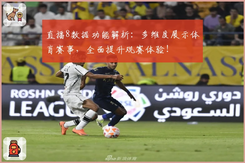 直播8数据功能解析：多维度展示体育赛事，全面提升观赛体验！
